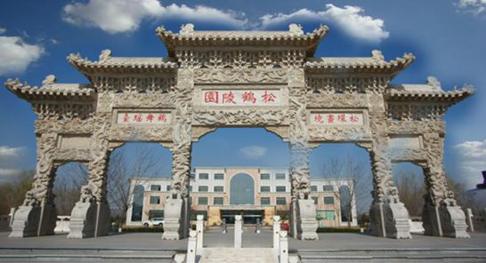 加载